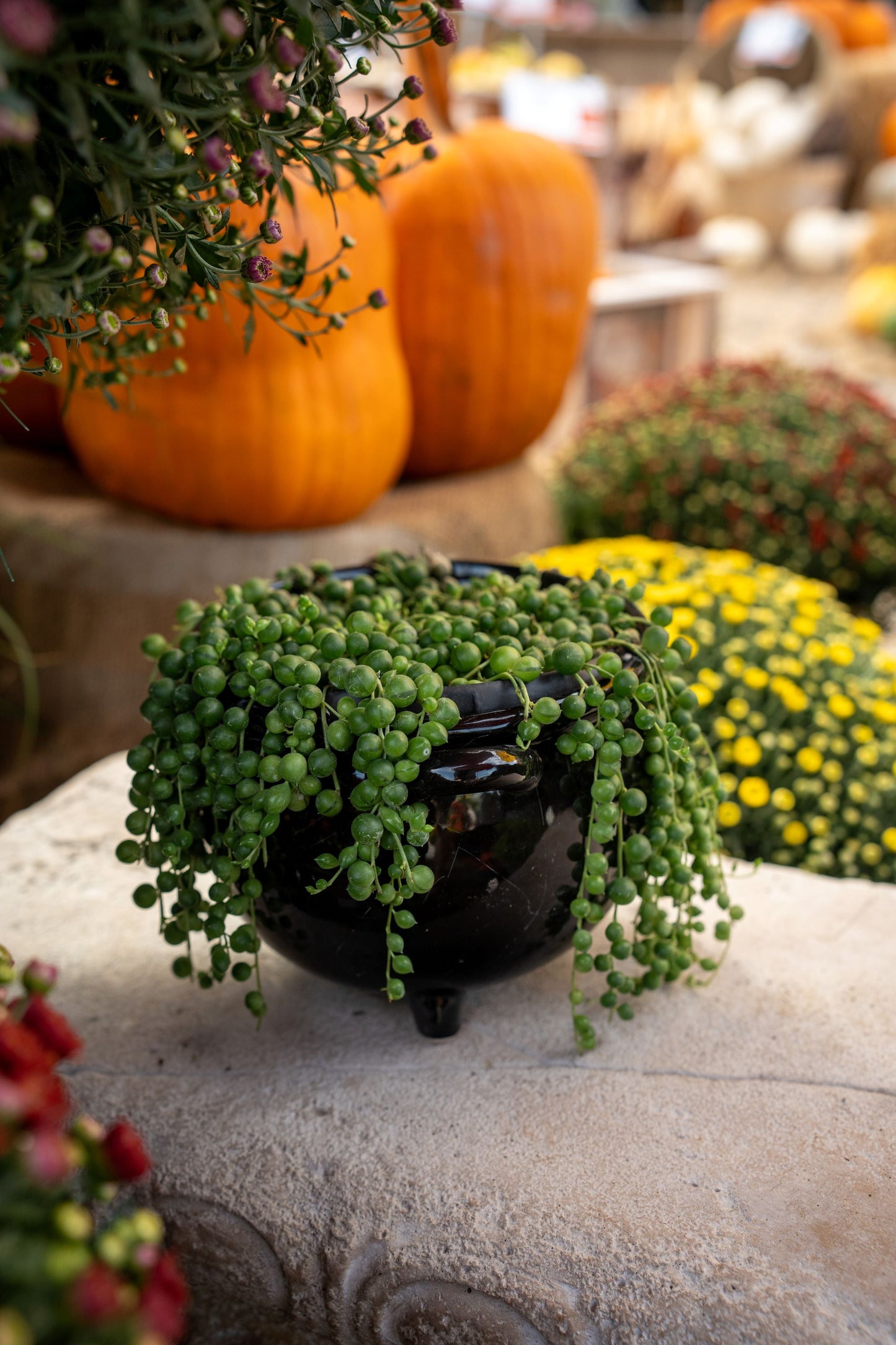 Cauldron with String of Pearls 6"