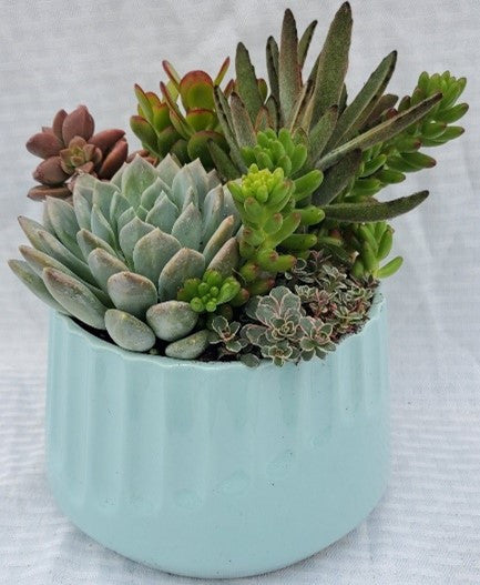 Imprint Soft Blue Succulent Planter