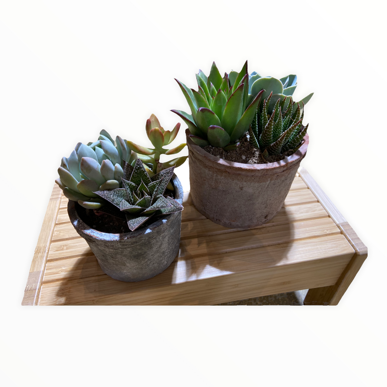 Bexley Grey Farm Succulent Pot